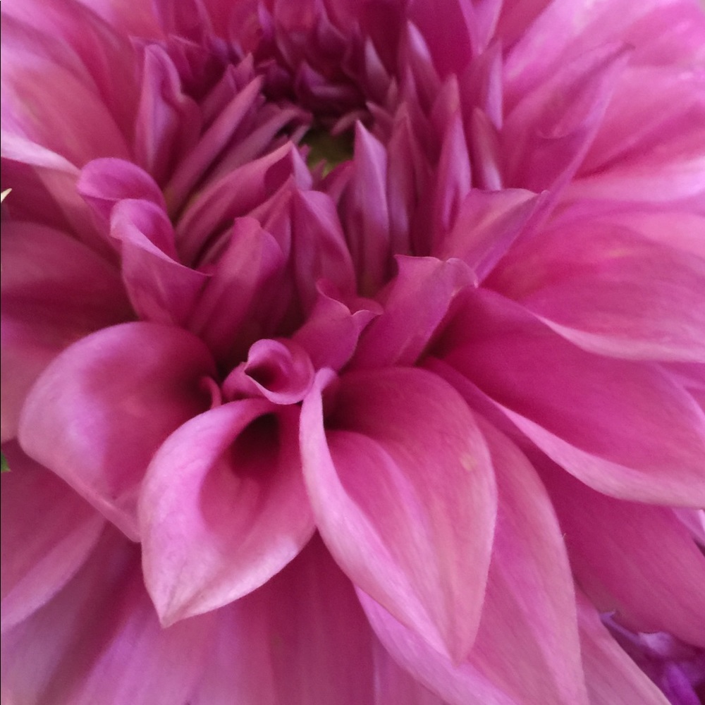 ‼️Welcome to my closet !! Bundle and save today ‼️